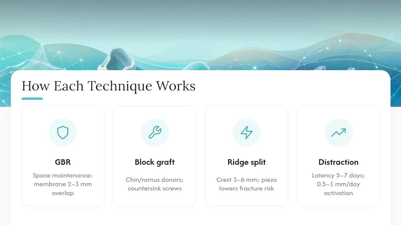 How Do the Main Ridge Augmentation Techniques Actually Work? — overview diagram
